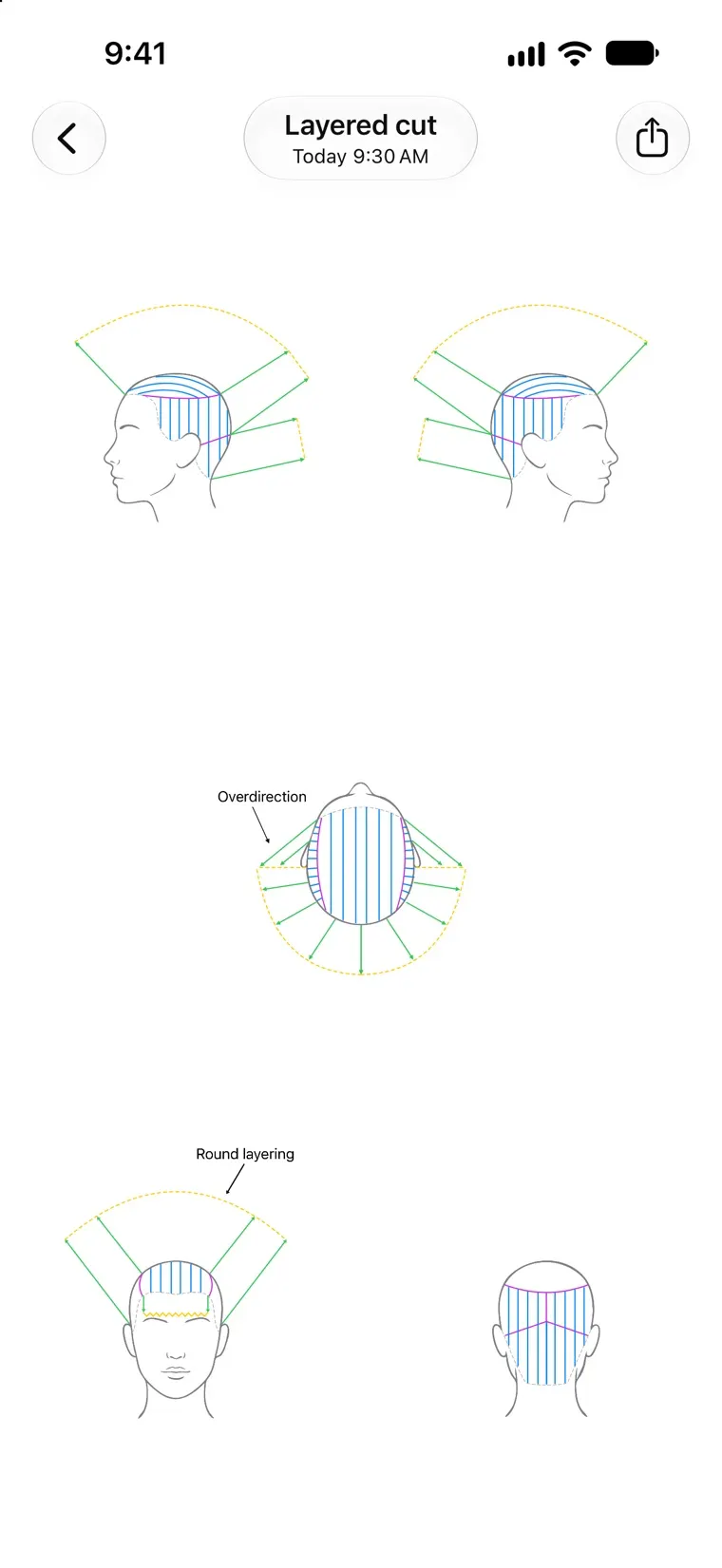 A diagram's Overview in Headsheet, showing all five views of the head at once